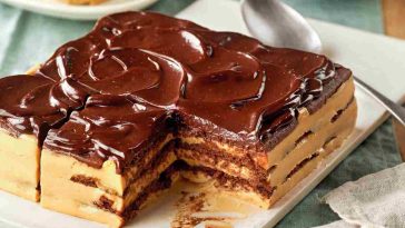 Gâteau au chocolat avec biscuits