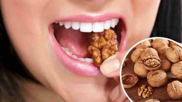 Les bienfaits de manger des noix pour notre estomac