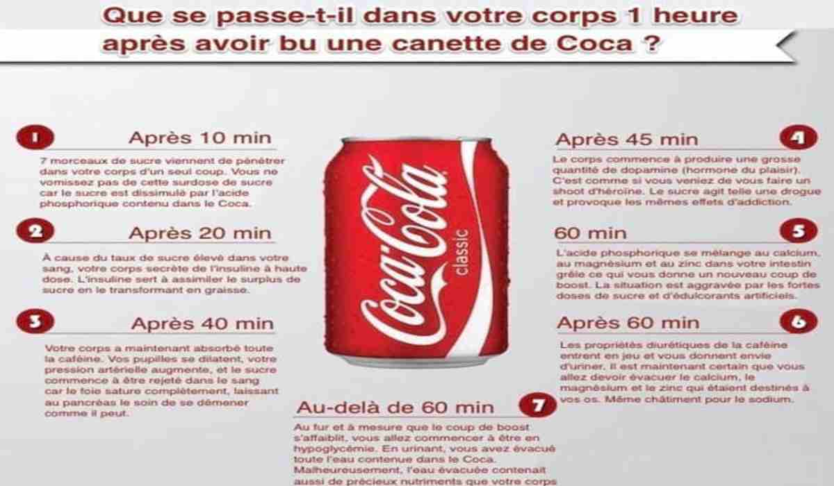 Comment le Coca-Cola Agit Sur notre Corps