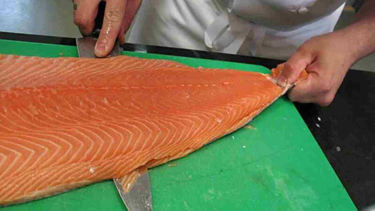 Les dangers de saumon