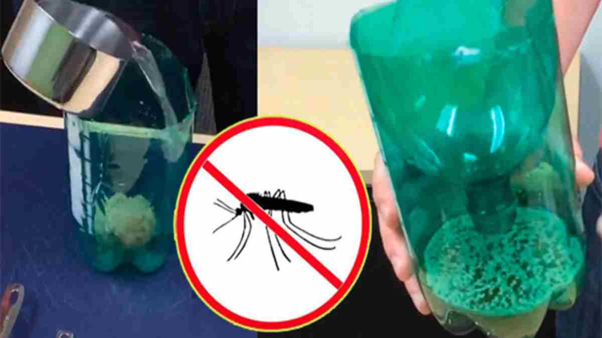 comment fabriquer un piège à moustiques efficace